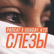 Рапсат